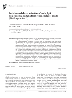 Isolation and characterization of endophytic non