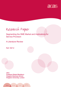 0912 Segmenting the SME market - Literature review