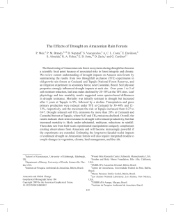 The Effects of Drought on Amazonian Rain Forests