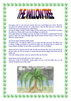 Once upon a time, in a far, far away country, there was a small