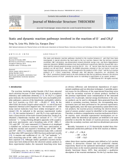 Static and dynamic reaction pathways involved in the reaction of O