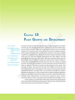 plant growth and development