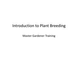 Introduction to Plant Breeding