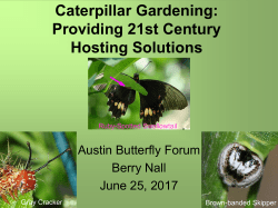 Caterpillar Gardening: Providing 21st Century