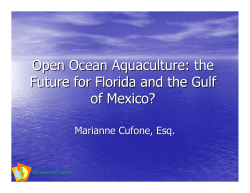 Open Ocean Aquaculture: the Future for Florida and the Gulf of