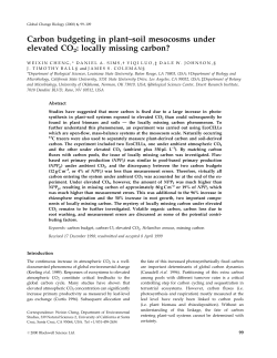 Carbon budgeting in plant&plusmn;soil mesocosms under elevated CO2