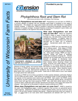 Phytophthora Root and Stem Rot - For Your Information