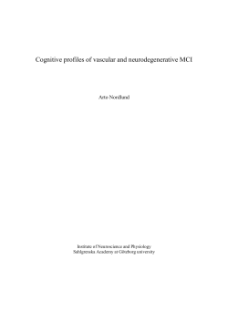 Cognitive profiles of vascular and neurodegenerative MCI