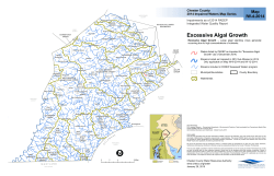 Excessive Algal Growth