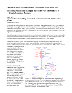 Modelling metabolic changes induced by iron limitation in