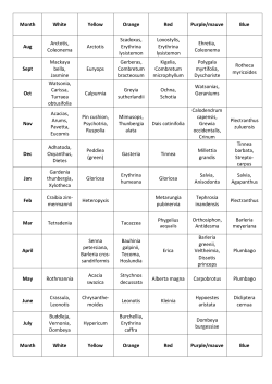 Month White Yellow Orange Red Purple/mauve Blue Aug Arctotis