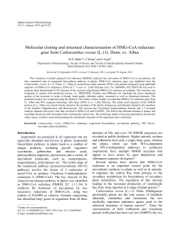 Molecular cloning and structural characterization of HMG