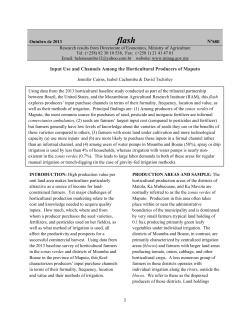Input Use and Channels Among the Horticultural Producers of Maputo
