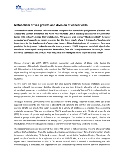 Metabolism drives growth and division of cancer cells