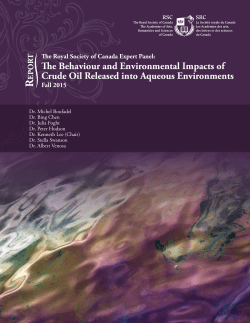 The behaviour and environmental impacts of crude oil released into