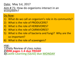 PowerPoint- Food Chains - Manhasset Public Schools