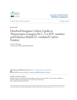 Dissolved Inorganic Carbon Uptake in Thiomicrospira crunogena