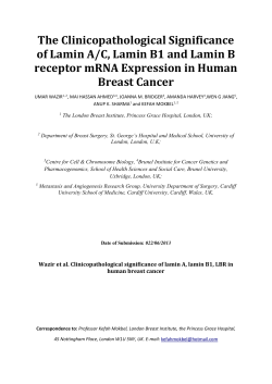 Fulltext - Brunel University Research Archive