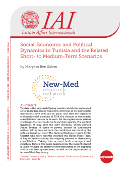 Social, Economic and Political Dynamics in Tunisia and the Related