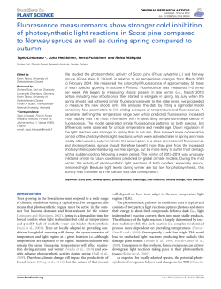 Fluorescence measurements show stronger cold