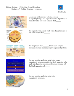 Biology Section 4 Cells of the Animal Kingdom Biology 4.7: Cellular