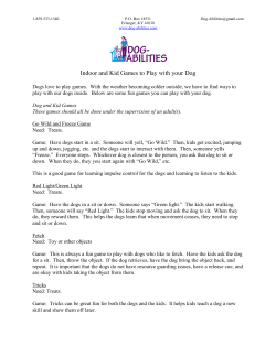 Indoor and Kid Games to Play with your Dog