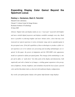 Expanding Display Color Gamut Beyond the Spectrum Locus