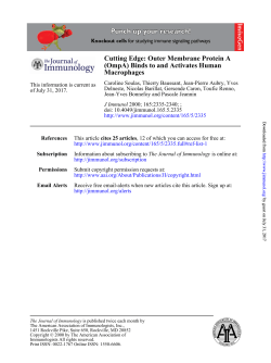 Cutting Edge: Outer Membrane Protein A (OmpA) Binds to and