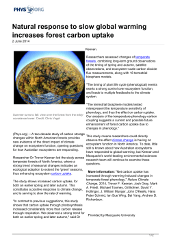 Natural response to slow global warming increases forest carbon