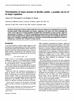 Determination of turgor pressure in Bacillus subtilis: a