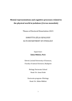 Mental representations and cognitive processes related to