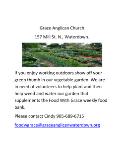 Grace Anglican Church &ndash; Vegetable Garden