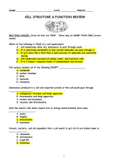 period - Biology