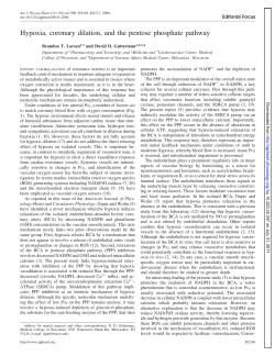 Hypoxia, coronary dilation, and the pentose phosphate pathway