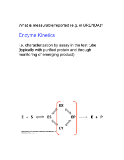 Enzyme Kinetics