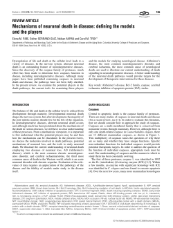Mechanisms of neuronal death in disease