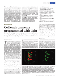 Cell environments programmed with light