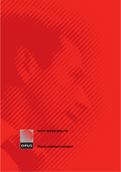 HUTT RIVER MOUTH Fluvial sediment transport