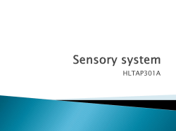 Sensory system
