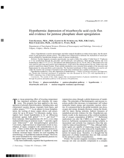 Hypothermia: depression of tricarboxylic acid cycle flux and