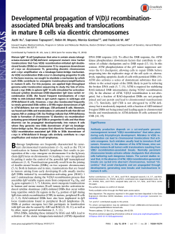 J recombination- associated DNA breaks and translocations in