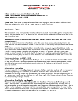 CAMELFORD COMMUNITY PRIMARY SCHOOL