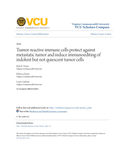 Tumor-reactive immune cells protect against metastatic tumor and