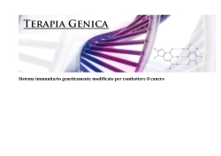 Sistema immunitario geneticamente modificato per combattere il