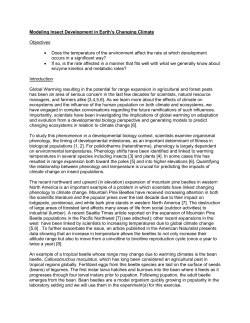 docx - BeanBeetles.org