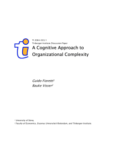 A Cognitive Approach to Organizational Complexity
