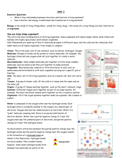 Unit 1 Summary Notes