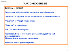 Gluconeogenesis