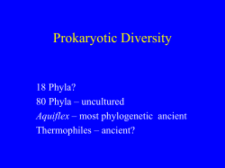 Proteobacteria - People Server at UNCW