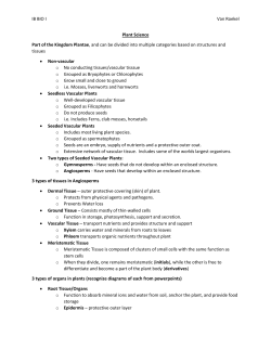 IB BIO I Van Roekel Plant Science Part of the Kingdom Plantae, and